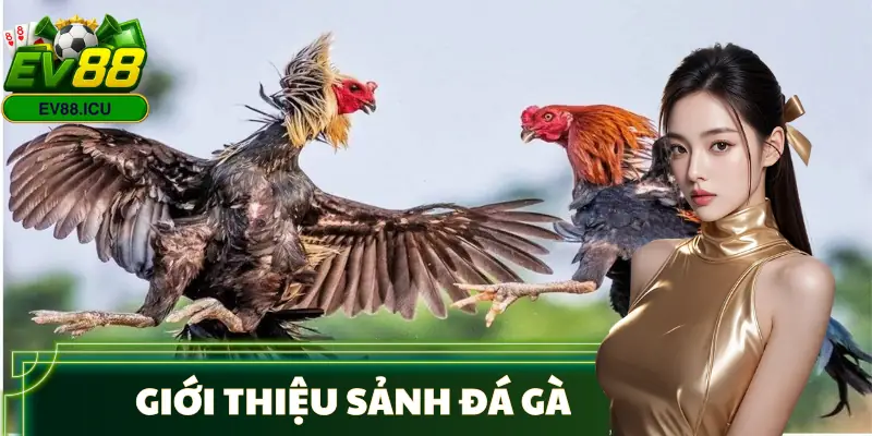 da-ga-gioi-thieu