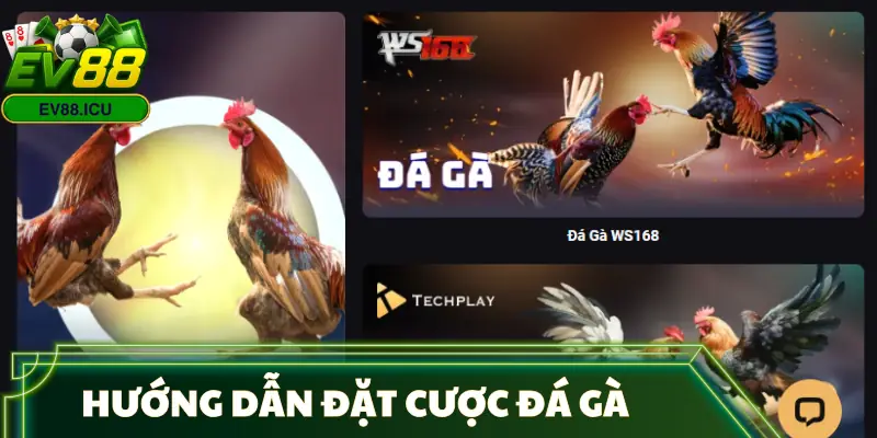 da-ga-huong-dan
