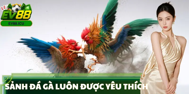 da-ga-uu-diem